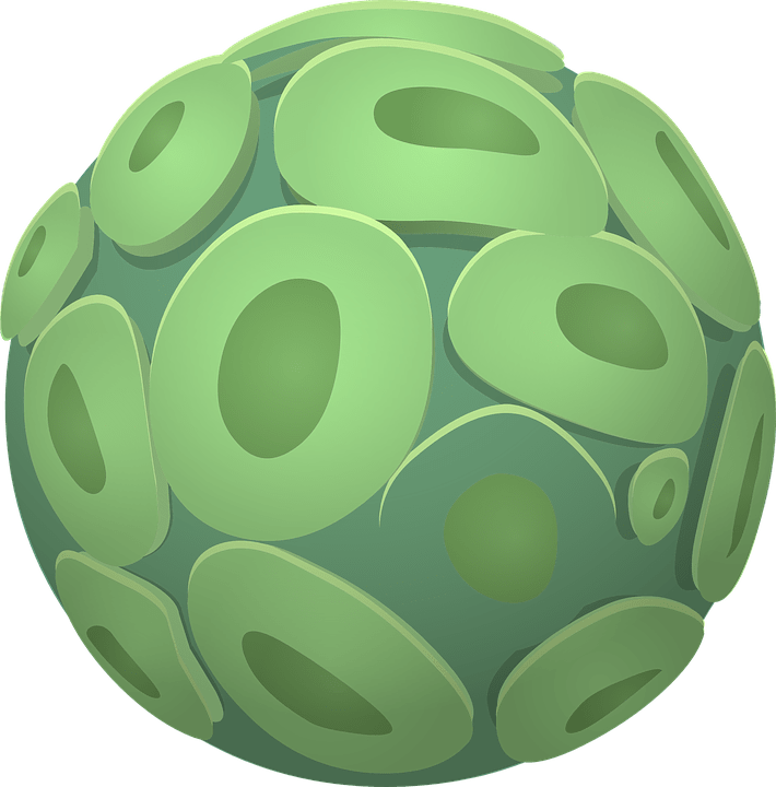 Spirulina bolt